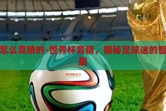 世界杯怎么竞猜的-世界杯竞猜，揭秘足球迷的智慧与乐趣，揭秘世界杯竞猜，足球迷的智慧与乐趣