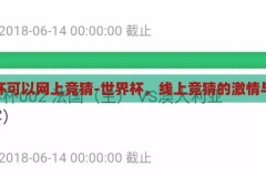 世界杯可以网上竞猜-世界杯，线上竞猜的激情与乐趣，线上竞猜，解锁世界杯的激情与乐趣