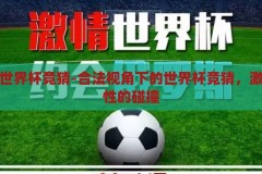 合法的世界杯竞猜-合法视角下的世界杯竞猜，激情与理性的碰撞，合法视角下的世界杯竞猜，激情与理性的碰撞