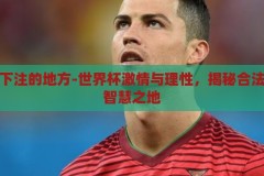 世界杯下注的地方-世界杯激情与理性，揭秘合法下注的智慧之地，世界杯激情与理性，揭秘合法下注的智慧之地