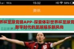 体彩世界杯足球竞猜APP-探索体彩世界杯足球竞猜APP，数字时代的足球娱乐新风尚，数字时代新风尚，探索体彩世界杯足球竞猜APP的足球娱乐体验