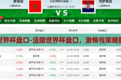 法国世界杯盘口-法国世界杯盘口，激情与策略的碰撞，法国世界杯盘口，激情与策略的精彩碰撞