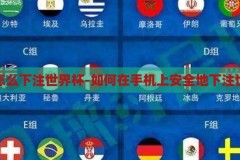 手机怎么下注世界杯-如何在手机上安全地下注世界杯，手机安全下注世界杯，简单步骤与注意事项