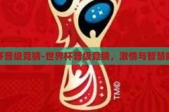 世界杯晋级竞猜-世界杯晋级竞猜，激情与智慧的碰撞，世界杯晋级竞猜，激情与智慧的智慧碰撞