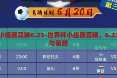 世界杯小组赛竞猜6.23-世界杯小组赛竞猜，6.23的激情与策略，6.23世界杯小组赛竞猜，激情与策略的碰撞
