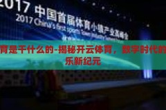 开云体育是干什么的-揭秘开云体育，数字时代的体育娱乐新纪元，揭秘开云体育，数字时代的体育娱乐新纪元
