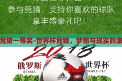 世界杯竞猜一等奖-世界杯竞猜，梦想与现实的激情碰撞，世界杯竞猜，梦想与现实的激情碰撞，争夺一等奖的荣耀