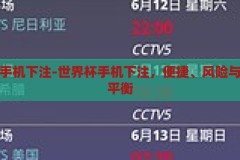 世界杯手机下注-世界杯手机下注，便捷、风险与监管的平衡，世界杯手机下注，便捷、风险与监管的平衡