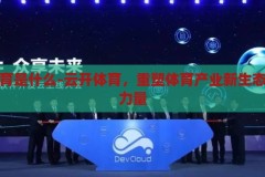 云开体育是什么-云开体育，重塑体育产业新生态的云端力量，重塑体育产业新生态，云开体育的云端力量