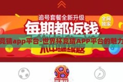 世界杯竞猜app平台-世界杯竞猜APP平台的魅力与挑战，世界杯竞猜APP，魅力与挑战并存的数字竞技场