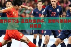 亚足联世界杯下注-亚足联世界杯，激情与策略并存的足球盛宴，亚足联世界杯，激情与策略交织的足球盛宴