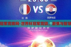 世界杯冠军竞猜网-世界杯冠军竞猜，激情与智慧的碰撞，激情与智慧的碰撞，世界杯冠军竞猜网