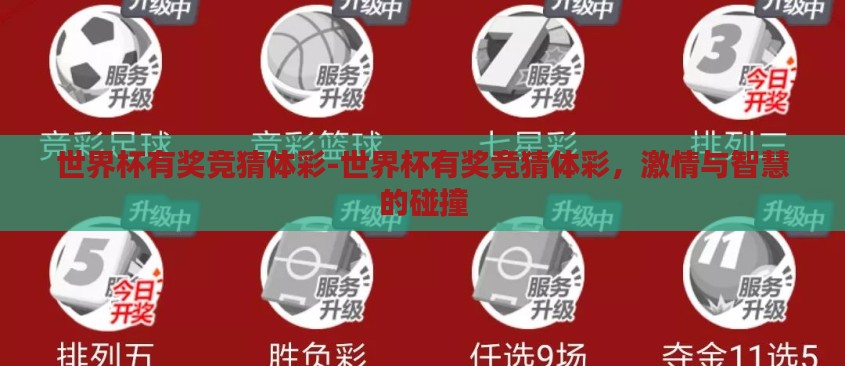 世界杯的魅力与激情