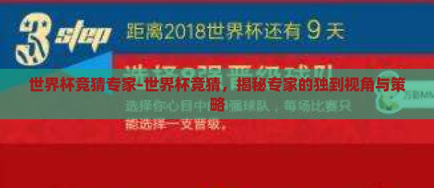 世界杯竞猜专家-世界杯竞猜，揭秘专家的独到视角与策略