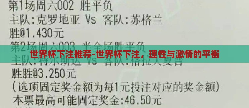 世界杯下注推荐-世界杯下注，理性与激情的平衡
