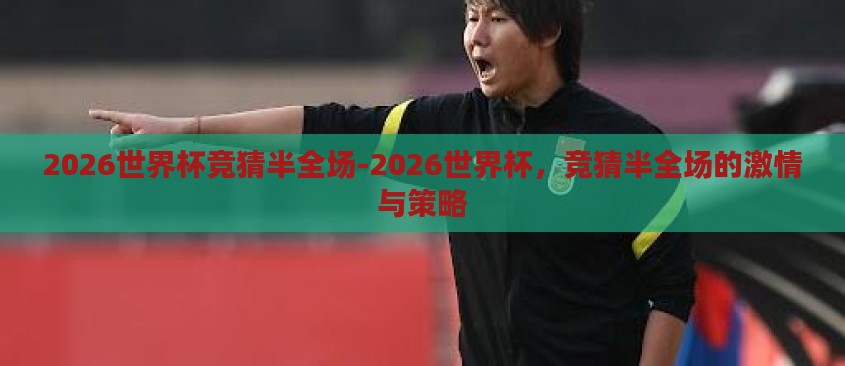 2026世界杯竞猜半全场-2026世界杯，竞猜半全场的激情与策略