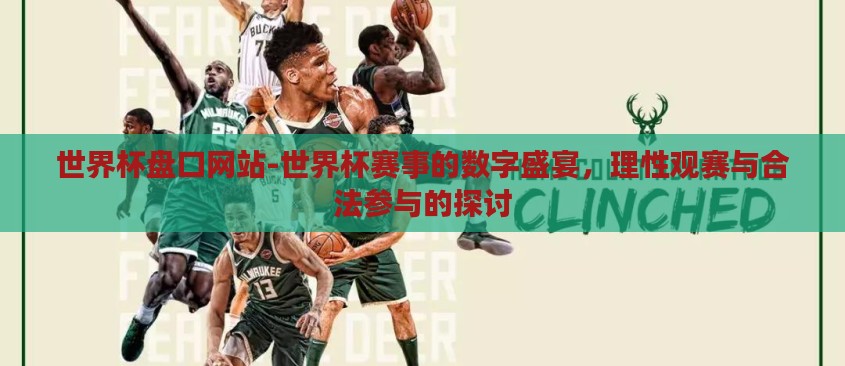世界杯盘口网站-世界杯赛事的数字盛宴，理性观赛与合法参与的探讨