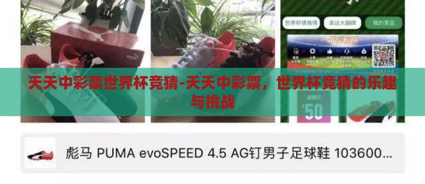 天天中彩票世界杯竞猜-天天中彩票,世界杯竞猜的乐趣与挑战 天天中彩票世界杯竞猜-天天中彩票,世界杯竞猜的乐趣与挑战