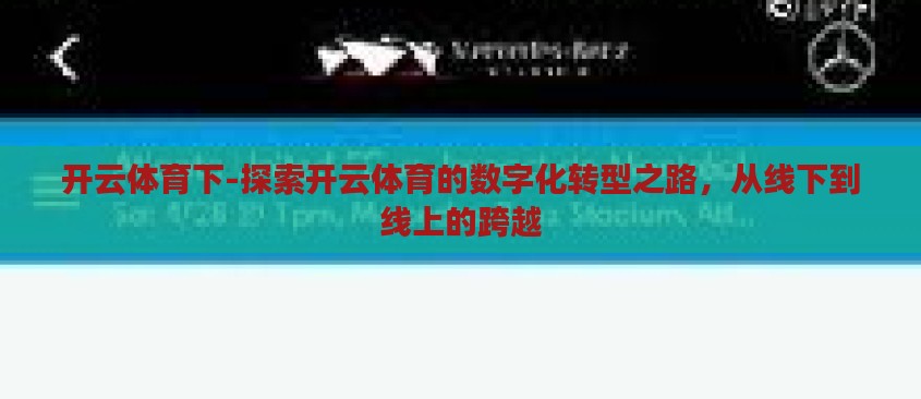 开云体育下-探索开云体育的数字化转型之路，从线下到线上的跨越