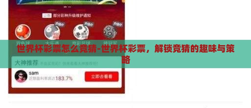 世界杯彩票怎么竞猜-世界杯彩票，解锁竞猜的趣味与策略