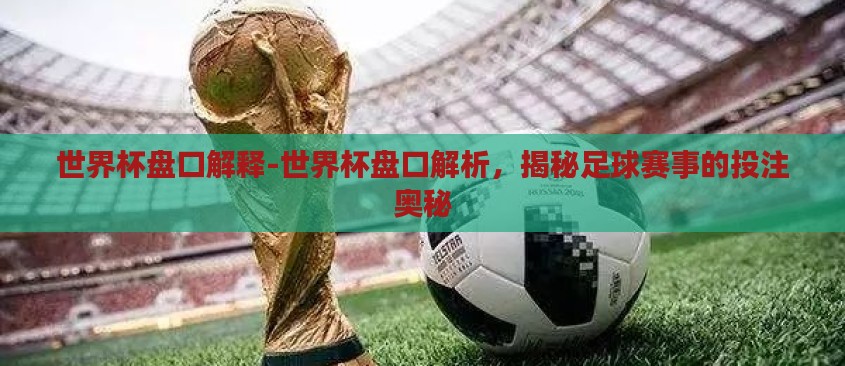 世界杯盘口解释-世界杯盘口解析，揭秘足球赛事的投注奥秘