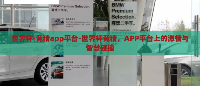 世界杯·竞猜app平台-世界杯竞猜，APP平台上的激情与智慧碰撞