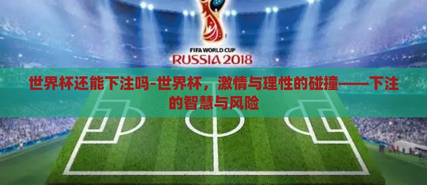 世界杯还能下注吗-世界杯，激情与理性的碰撞——下注的智慧与风险