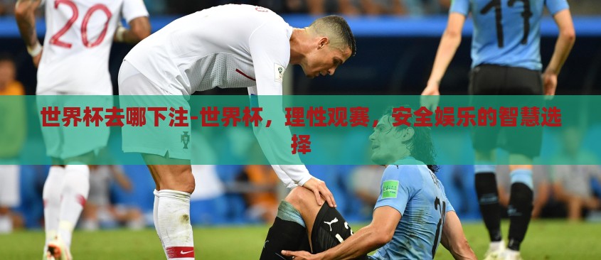 世界杯去哪下注-世界杯，理性观赛，安全娱乐的智慧选择