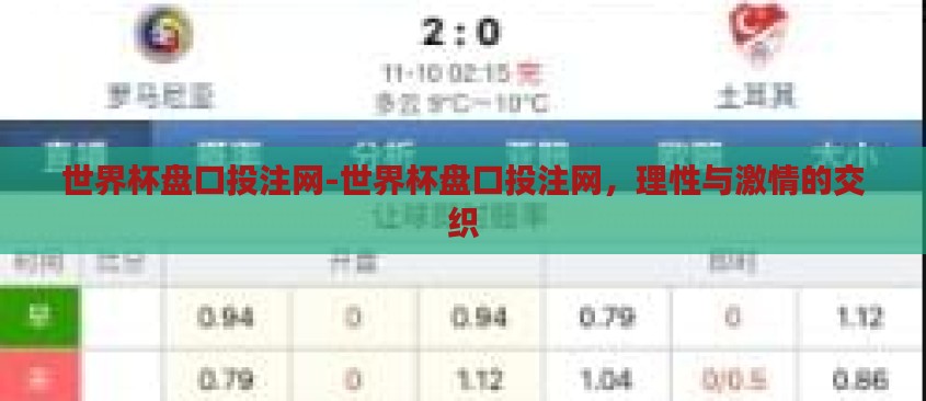 世界杯盘口投注网-世界杯盘口投注网，理性与激情的交织