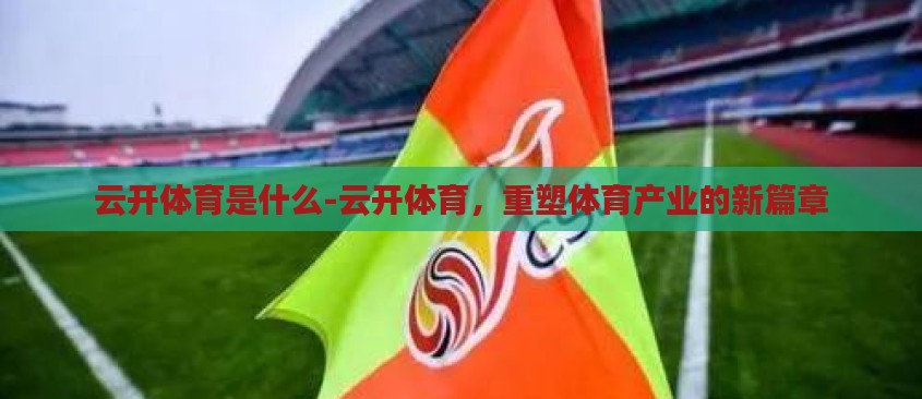 云开体育是什么-云开体育，重塑体育产业的新篇章